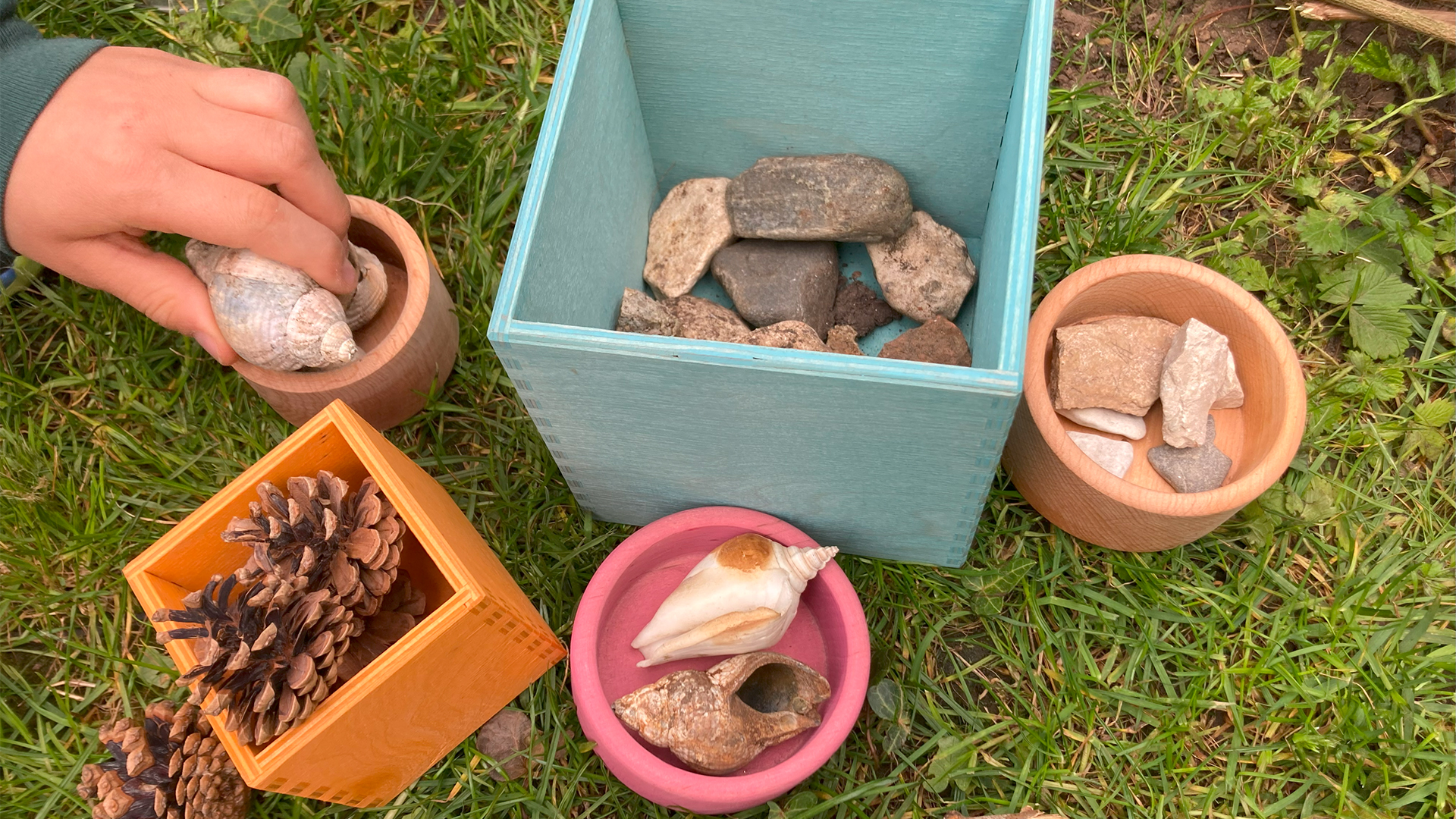 Muscheln, Steine und Tannenzweige in kleinen Holzschälchen