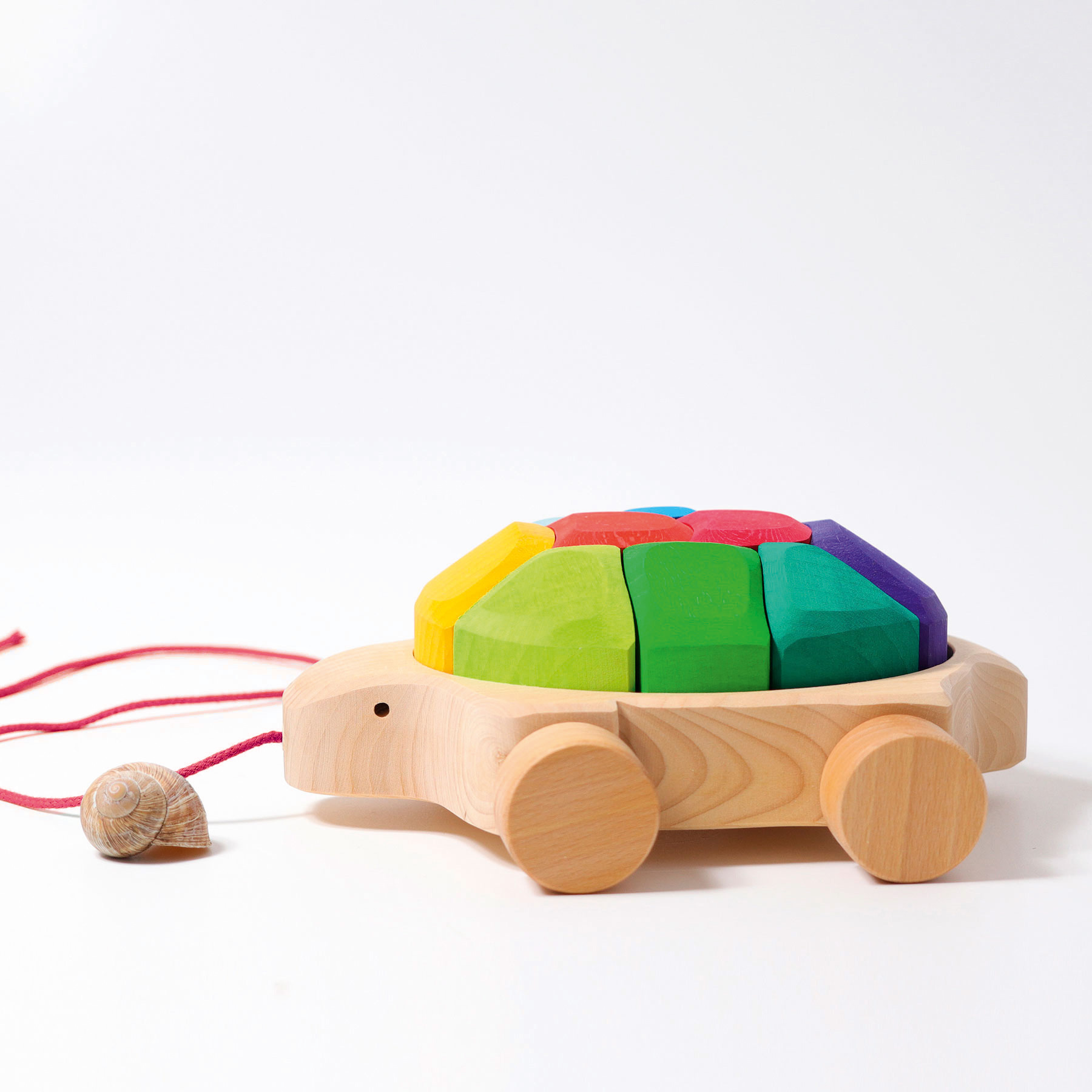 Regenbogen Schildkröte