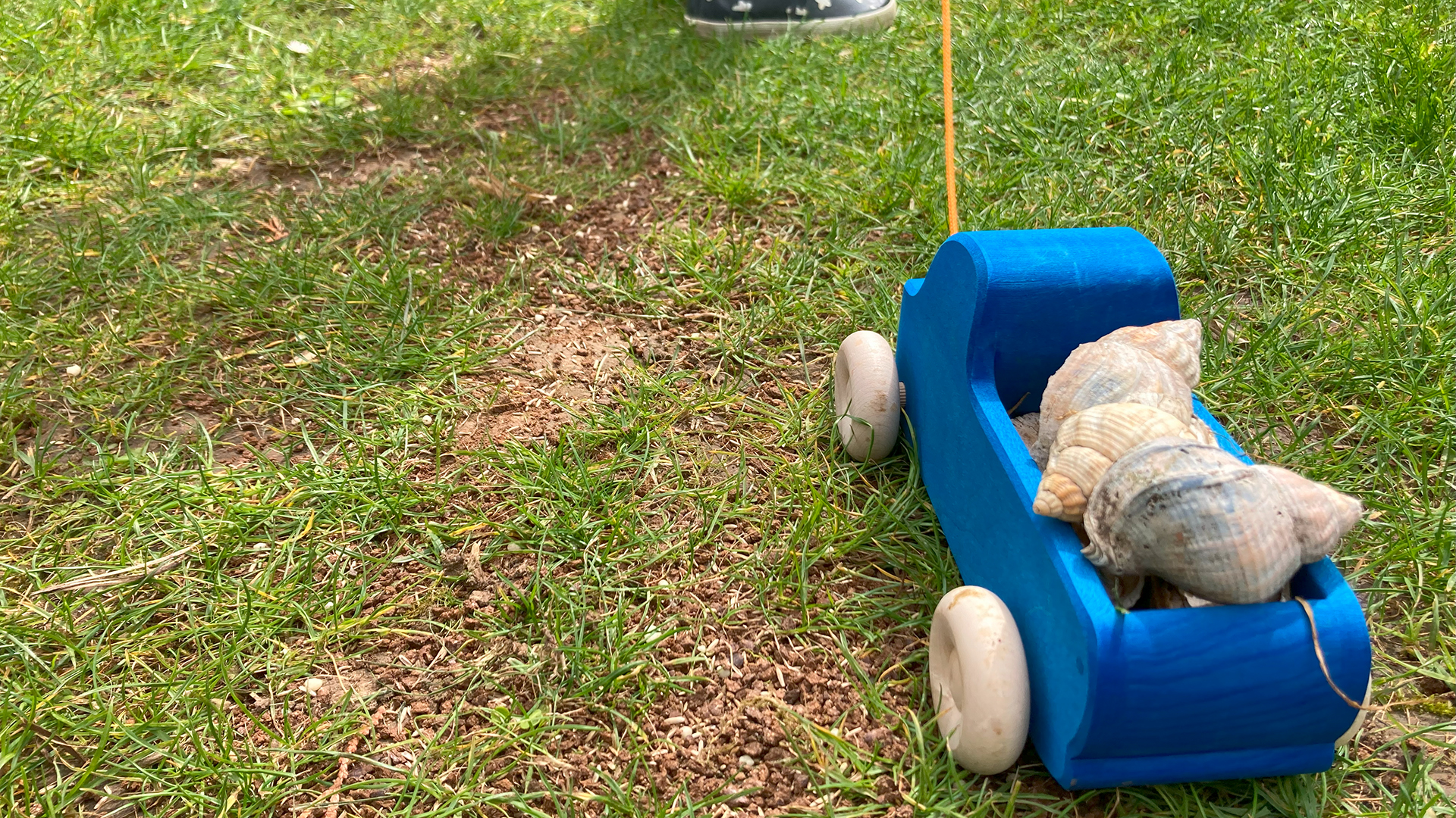 Ein kleiner blauer Lastwagen aus Holz wird an einer Schnur gezogen und ist beladen mit Muscheln.